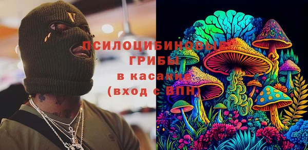 скорость Ельня