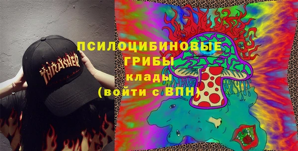 скорость Ельня