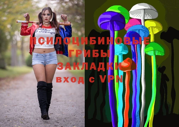скорость Ельня