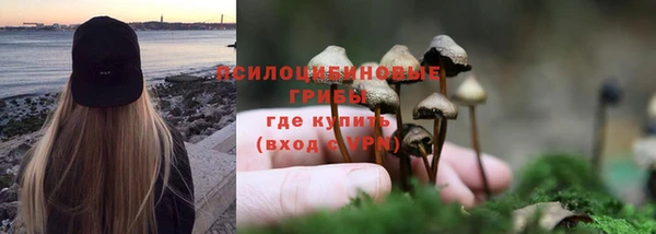 бутират Елизово