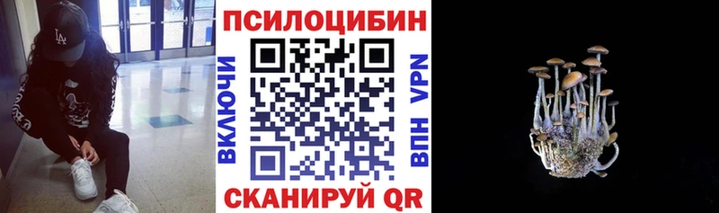 Купить закладки  Олонец  Галлюциногенные грибы Psilocybine cubensis 